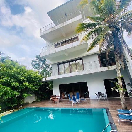 בטרמולה Thalangama Lakeview Lodge מראה חיצוני תמונה
