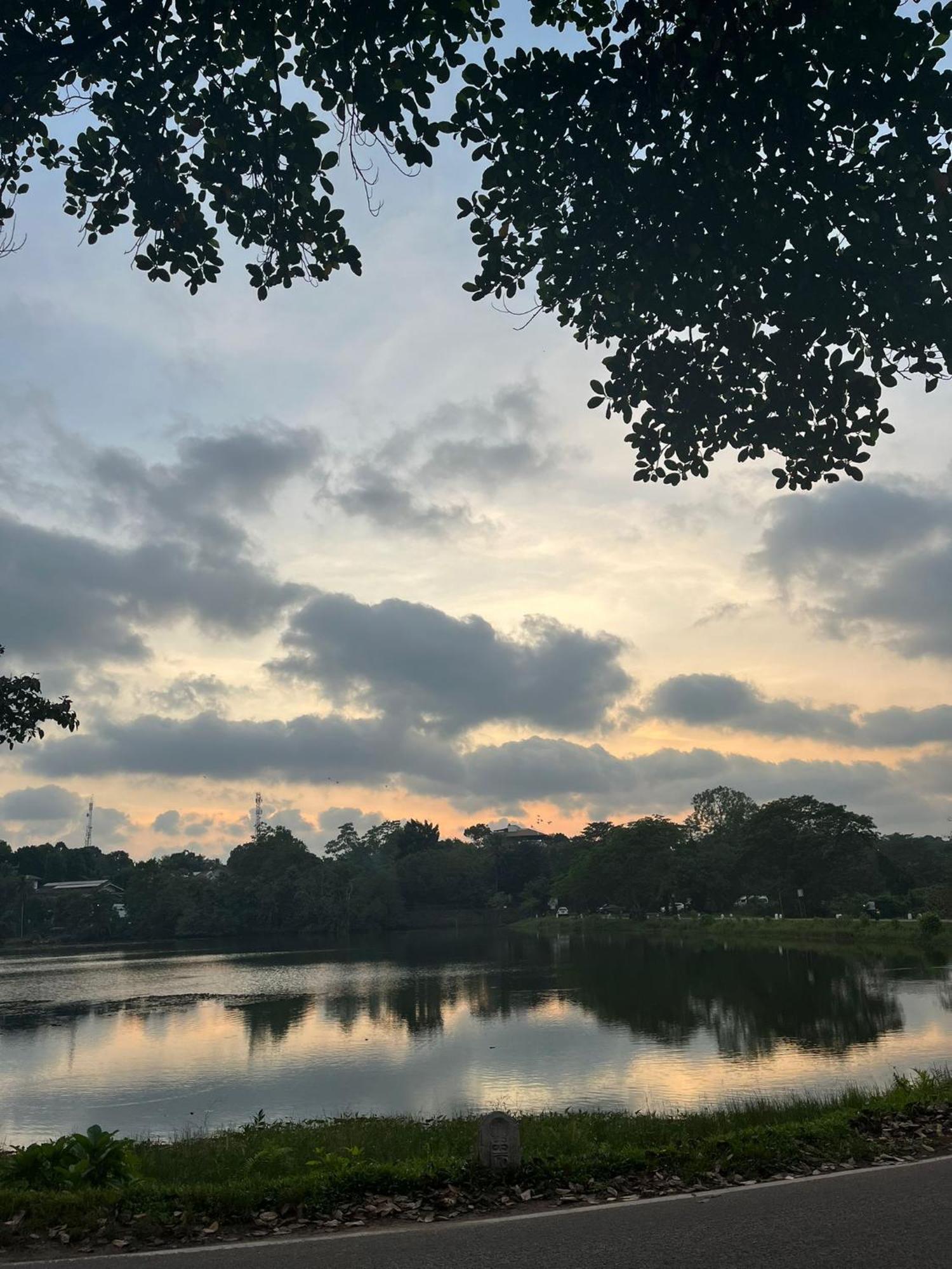 בטרמולה Thalangama Lakeview Lodge מראה חיצוני תמונה